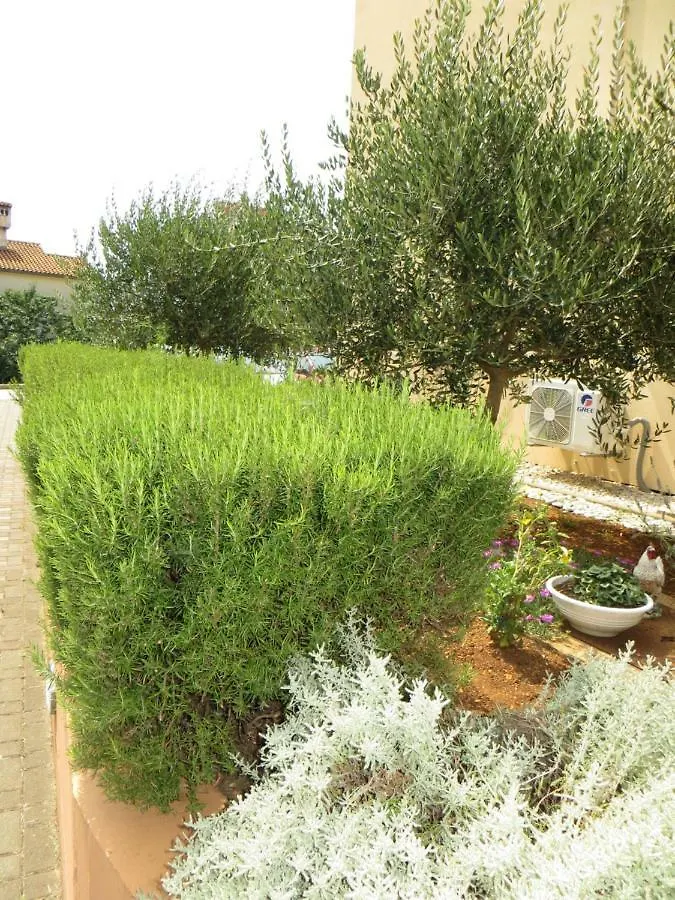 Apartman Mario Apartment Cres